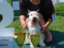 28.05.2016 - Special Schnauzer Show - Nový Tekov Slovakia (Awesome Marshall Z BIELEHO DOMU)