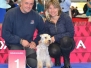 BRNO 2014 EUROPEAN DOG SHOW (Bellatrix Lestrange z Sardanu)