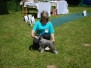 Jasenie 2015 - Schnauzer Club Show (Xmas Snowflake z Šardanu)